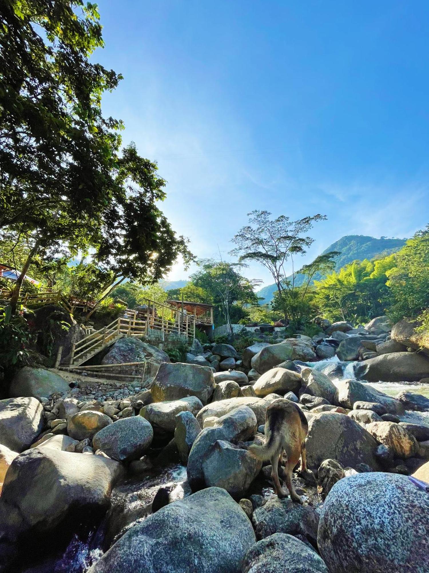 Hosteria El Sendero - Cocorná Dış mekan fotoğraf